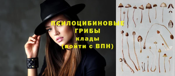 спиды Мегион