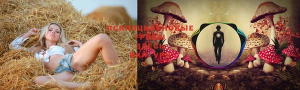 синтетический гашиш Медногорск
