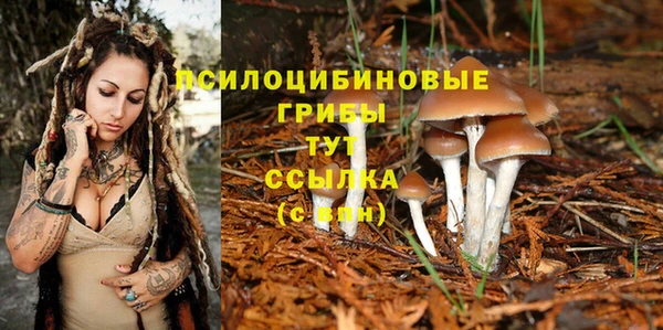 спиды Мегион