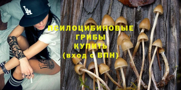 синтетический гашиш Медногорск