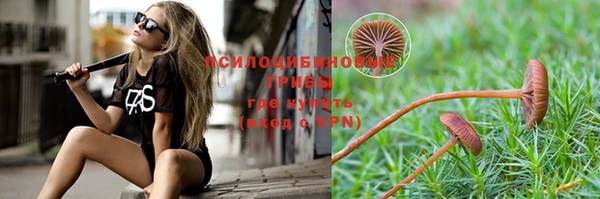 МДМА Медвежьегорск