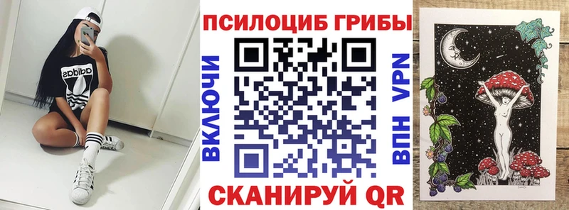 Псилоцибиновые грибы Psilocybine cubensis  Шумиха 